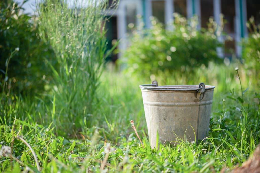 A bucket in a yard. Using a bucket as a restroom is not a good idea.