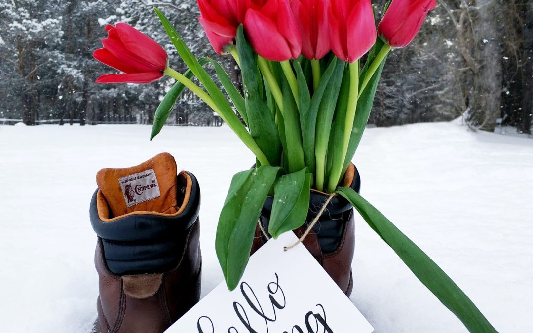 photo of tulips in snow | portable restroom rental sports sporting events portland vancouver