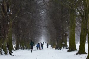 image of people running in snow | portland porta potty rental marathons