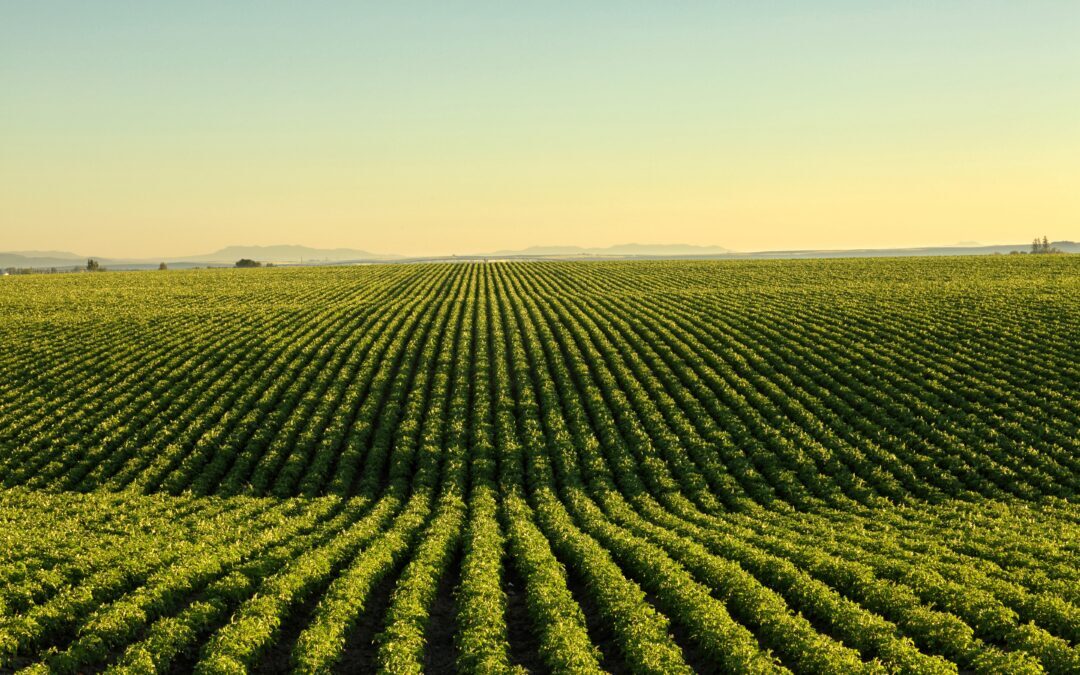 Field-Friendly Facilities: Supporting Farming and Agriculture with Portable Solutions