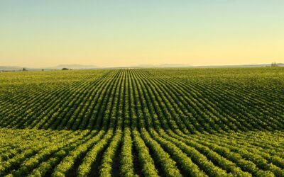 Field-Friendly Facilities: Supporting Farming and Agriculture with Portable Solutions